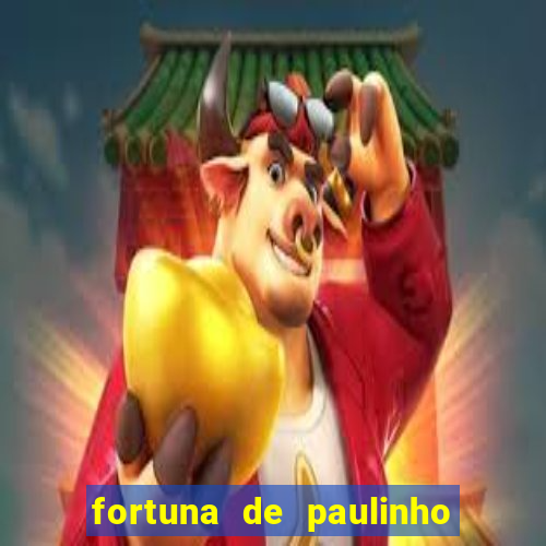 fortuna de paulinho roupa nova